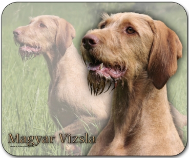 Mousepad Magyar Vizsla (Ungarischer Vorstehhund) #2